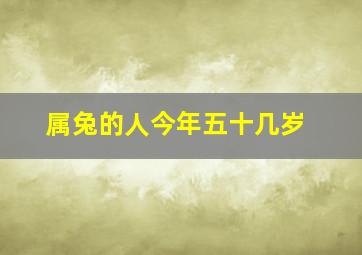 属兔的人今年五十几岁