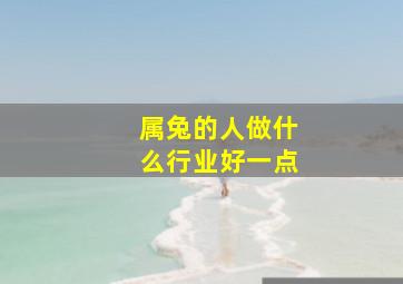 属兔的人做什么行业好一点