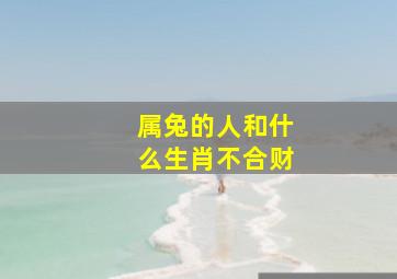 属兔的人和什么生肖不合财