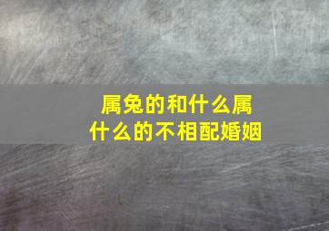 属兔的和什么属什么的不相配婚姻