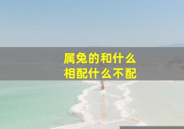 属兔的和什么相配什么不配