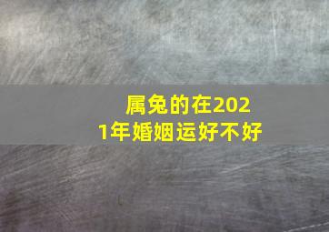 属兔的在2021年婚姻运好不好