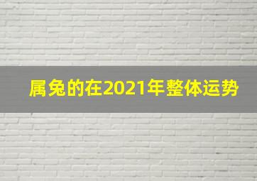 属兔的在2021年整体运势