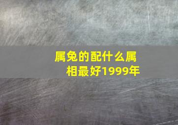 属兔的配什么属相最好1999年