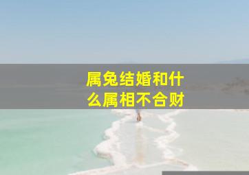 属兔结婚和什么属相不合财