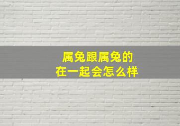 属兔跟属兔的在一起会怎么样