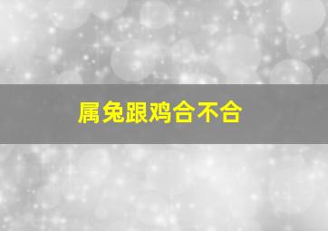 属兔跟鸡合不合