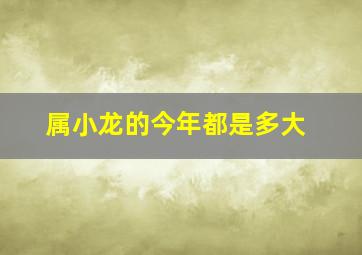 属小龙的今年都是多大