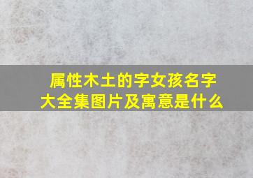 属性木土的字女孩名字大全集图片及寓意是什么