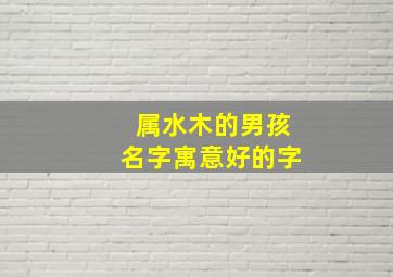 属水木的男孩名字寓意好的字