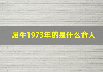 属牛1973年的是什么命人