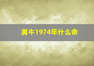 属牛1974年什么命