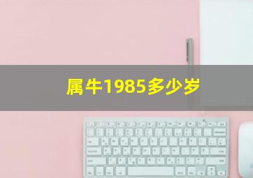 属牛1985多少岁