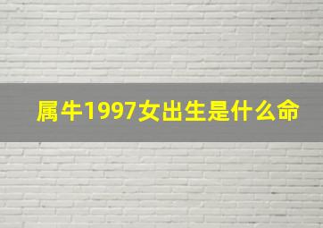 属牛1997女出生是什么命