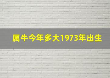 属牛今年多大1973年出生