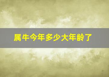 属牛今年多少大年龄了