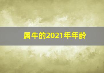 属牛的2021年年龄