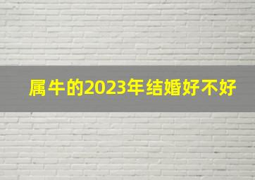 属牛的2023年结婚好不好