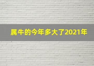 属牛的今年多大了2021年