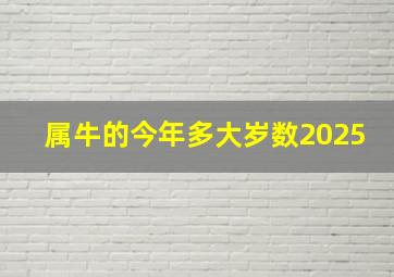 属牛的今年多大岁数2025