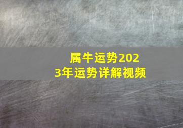 属牛运势2023年运势详解视频