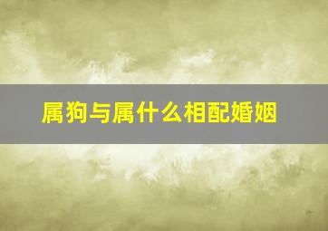 属狗与属什么相配婚姻