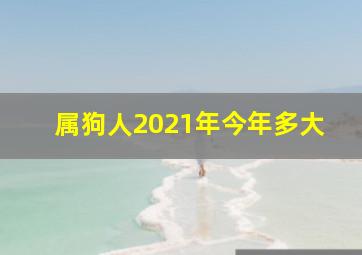 属狗人2021年今年多大