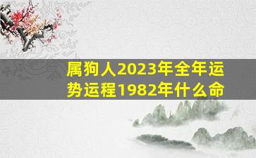 属狗人2023年全年运势运程1982年什么命