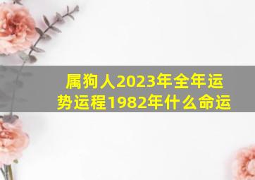 属狗人2023年全年运势运程1982年什么命运