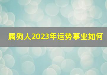 属狗人2023年运势事业如何