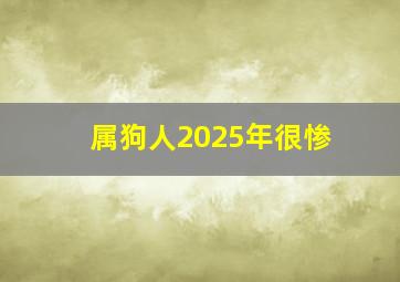 属狗人2025年很惨