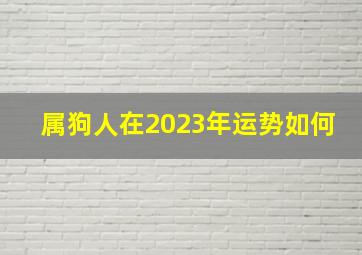 属狗人在2023年运势如何