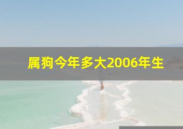 属狗今年多大2006年生