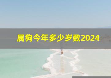 属狗今年多少岁数2024