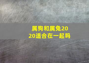 属狗和属兔2020适合在一起吗