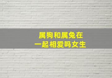 属狗和属兔在一起相爱吗女生