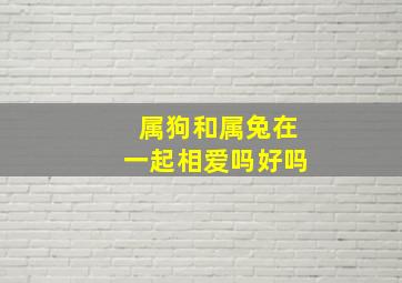 属狗和属兔在一起相爱吗好吗