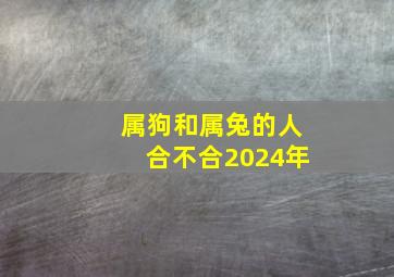 属狗和属兔的人合不合2024年