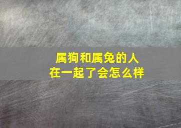 属狗和属兔的人在一起了会怎么样