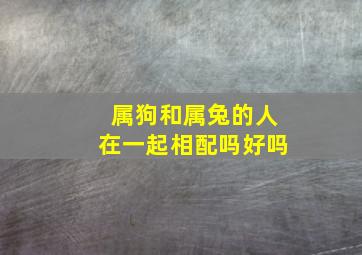 属狗和属兔的人在一起相配吗好吗