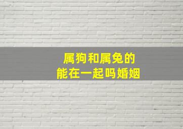 属狗和属兔的能在一起吗婚姻