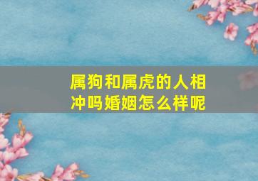 属狗和属虎的人相冲吗婚姻怎么样呢