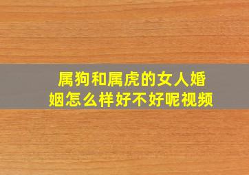 属狗和属虎的女人婚姻怎么样好不好呢视频