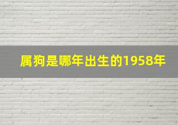 属狗是哪年出生的1958年