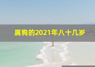 属狗的2021年八十几岁