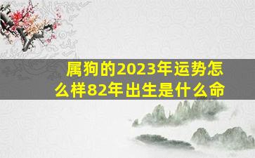 属狗的2023年运势怎么样82年出生是什么命