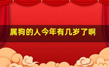 属狗的人今年有几岁了啊