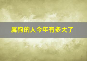 属狗的人今年有多大了