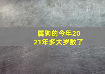 属狗的今年2021年多大岁数了