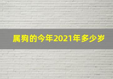 属狗的今年2021年多少岁